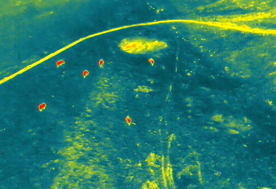 Observation thermique par drone pour la localisation de sujets sur le terrain